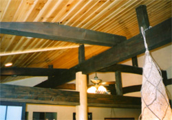 �Ö��ƐV�z�{�H��